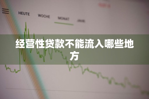 经营性贷款不能流入哪些地方