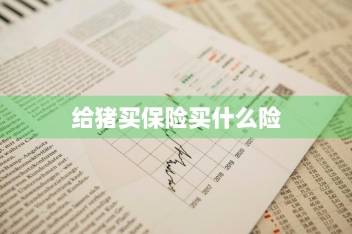给猪买保险买什么险