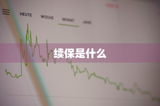续保是什么