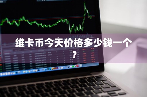 维卡币今天价格多少钱一个？