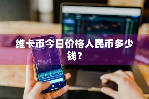 维卡币今日价格人民币多少钱？