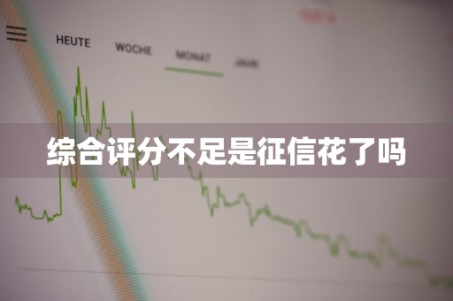 综合评分不足是征信花了吗