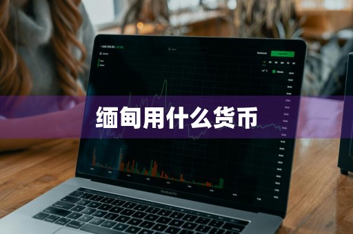 缅甸用什么货币