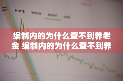 编制内的为什么查不到养老金 编制内的为什么查不到养老金知乎