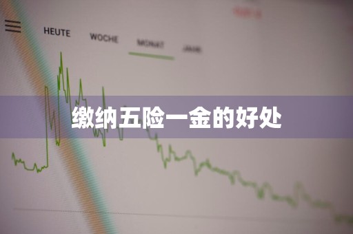 缴纳五险一金的好处
