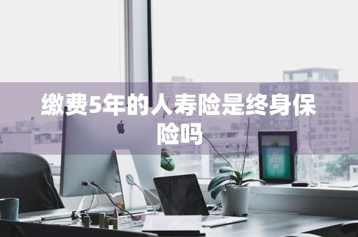 缴费5年的人寿险是终身保险吗