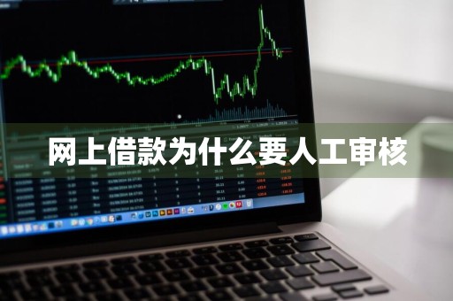 网上借款为什么要人工审核