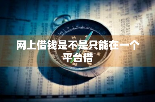 网上借钱是不是只能在一个平台借