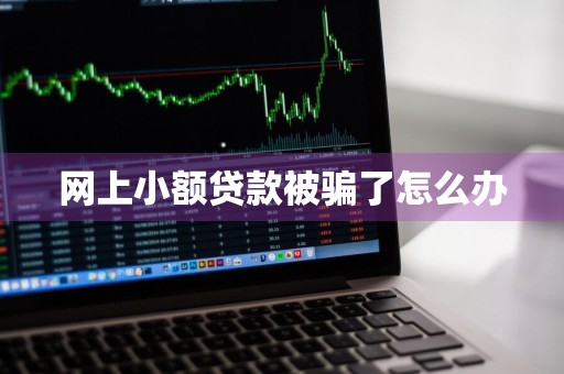 网上小额贷款被骗了怎么办