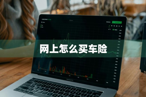 网上怎么买车险