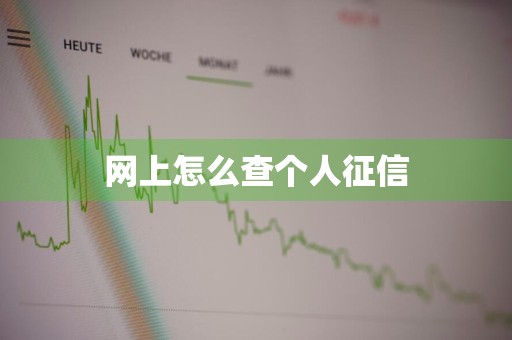 网上怎么查个人征信