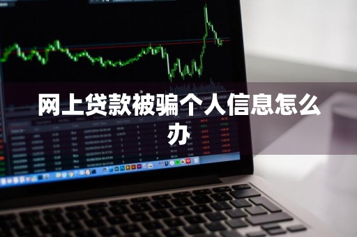 网上贷款被骗个人信息怎么办