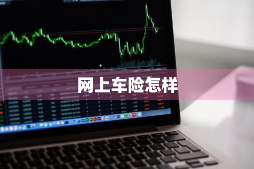 网上车险怎样