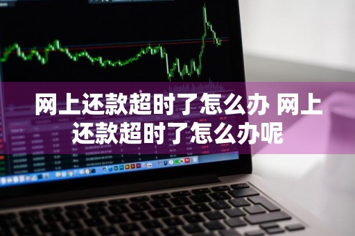 网上还款超时了怎么办 网上还款超时了怎么办呢