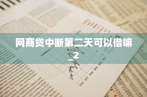 网商贷中断第二天可以借嘛_2