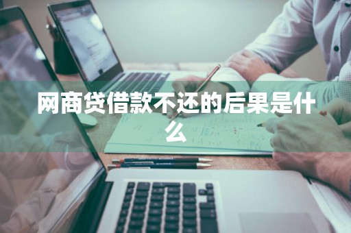 网商贷借款不还的后果是什么