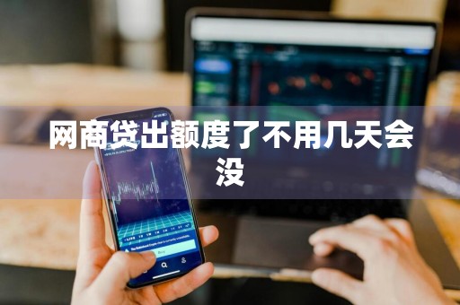 网商贷出额度了不用几天会没