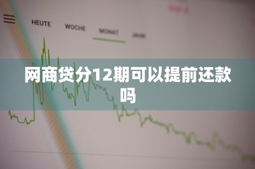 网商贷分12期可以提前还款吗