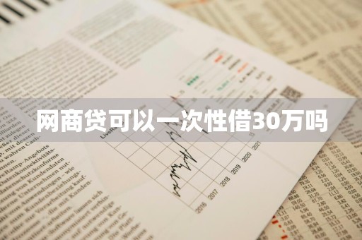 网商贷可以一次性借30万吗