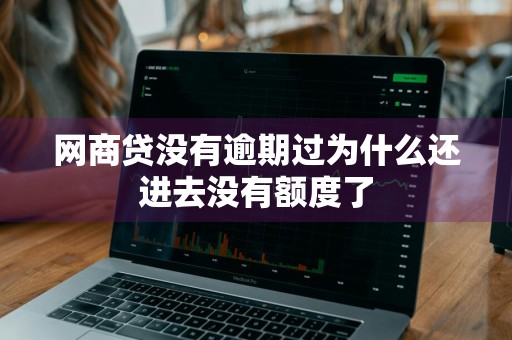 网商贷没有逾期过为什么还进去没有额度了