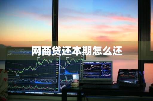 网商贷还本期怎么还