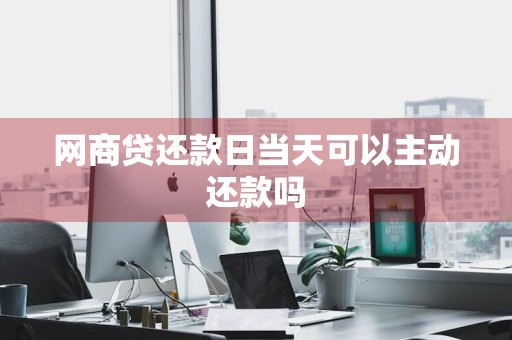 网商贷还款日当天可以主动还款吗