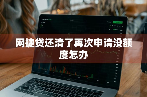 网捷贷还清了再次申请没额度怎办