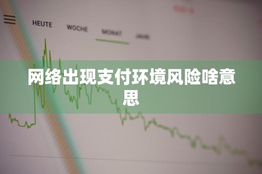 网络出现支付环境风险啥意思