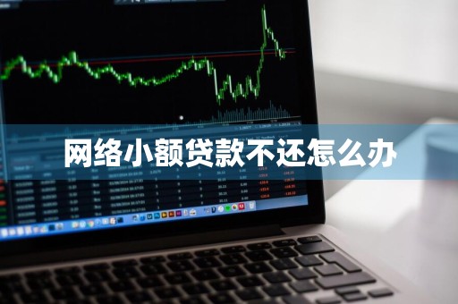 网络小额贷款不还怎么办