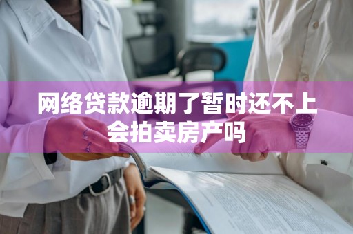 网络贷款逾期了暂时还不上会拍卖房产吗