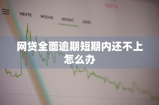 网贷全面逾期短期内还不上怎么办