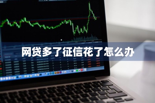 网贷多了征信花了怎么办
