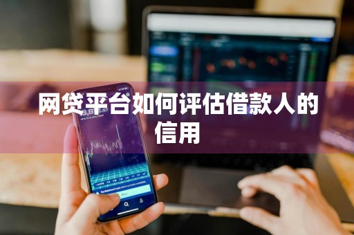 网贷平台如何评估借款人的信用