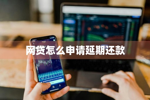 网贷怎么申请延期还款
