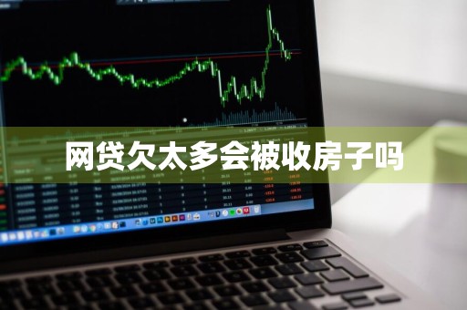 网贷欠太多会被收房子吗