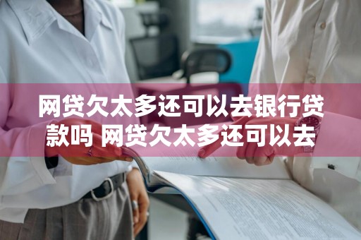 网贷欠太多还可以去银行贷款吗 网贷欠太多还可以去银行贷款吗知乎