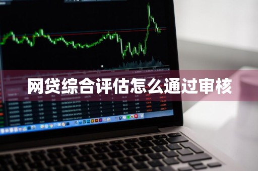 网贷综合评估怎么通过审核