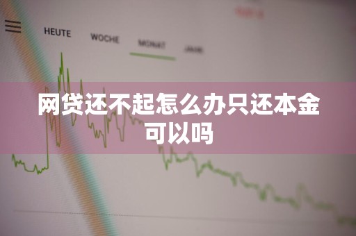 网贷还不起怎么办只还本金可以吗