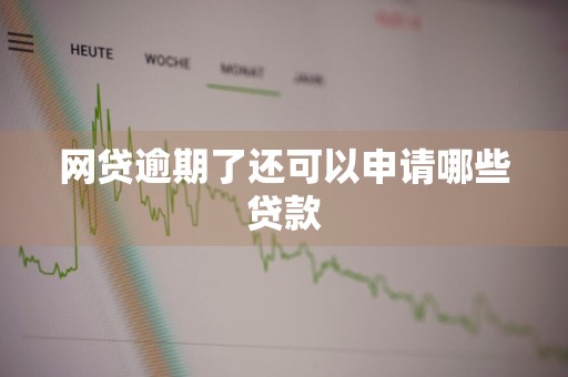 网贷逾期了还可以申请哪些贷款