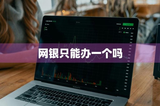网银只能办一个吗