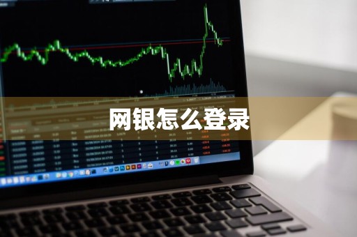 网银怎么登录