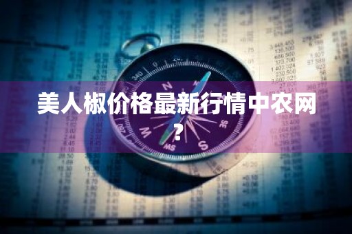美人椒价格最新行情中农网？