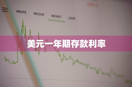 美元一年期存款利率