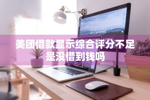 美团借款显示综合评分不足是没借到钱吗