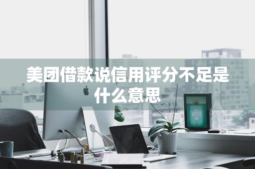 美团借款说信用评分不足是什么意思