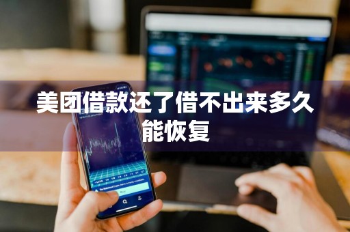 美团借款还了借不出来多久能恢复