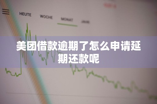 美团借款逾期了怎么申请延期还款呢