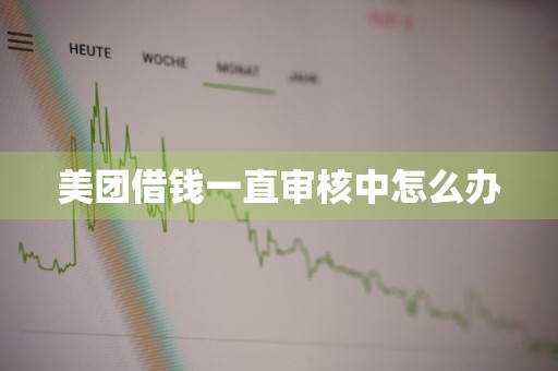 美团借钱一直审核中怎么办