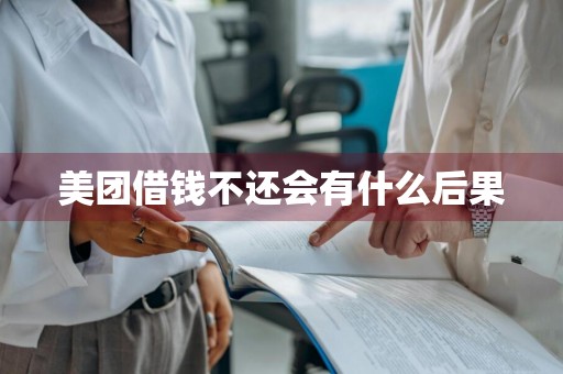美团借钱不还会有什么后果