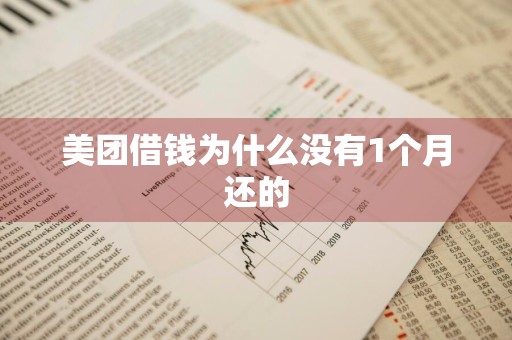美团借钱为什么没有1个月还的